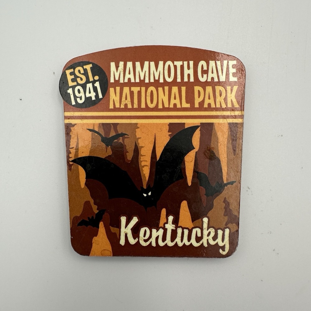 Vintage Mammoth Cave National Park Kentucky Magnet Caves Bats Souvenir